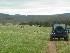On the trail